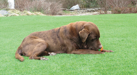 Heritage Landscape Supply Group - Fencing