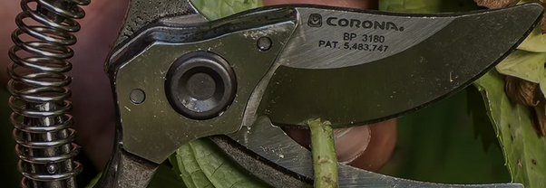 Get your replacement tools from Corona Tools!