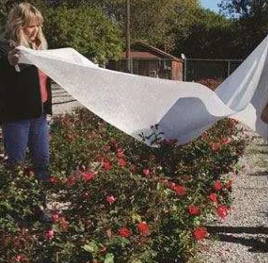 Plant protection