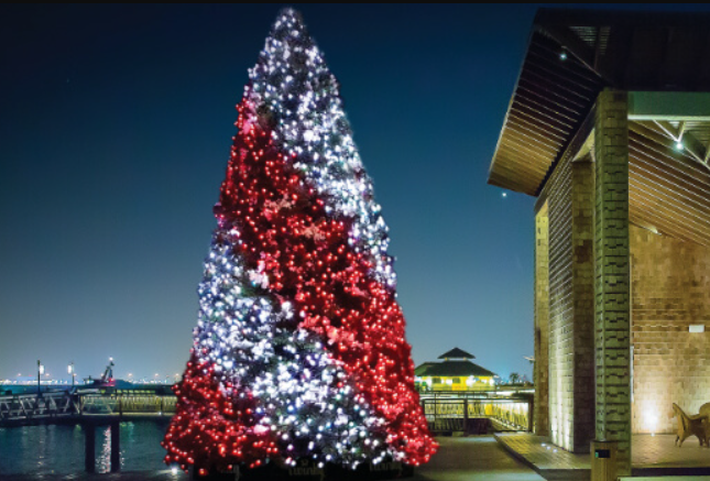 Holiday Bright Lights - RGB lighting