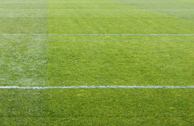 Nufarm - sports turf solutions