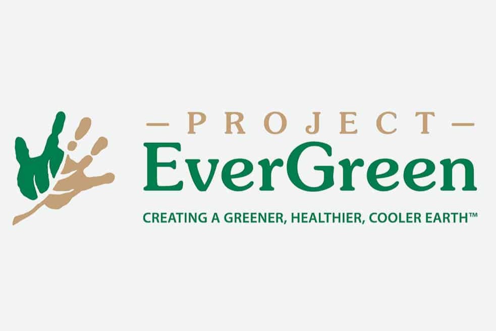 Project Evergreen - logo