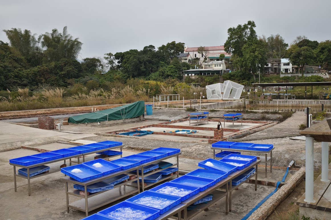 Bel-Aqua - pool coping