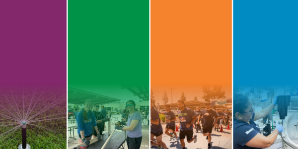 Lea el informe de impacto 2024!