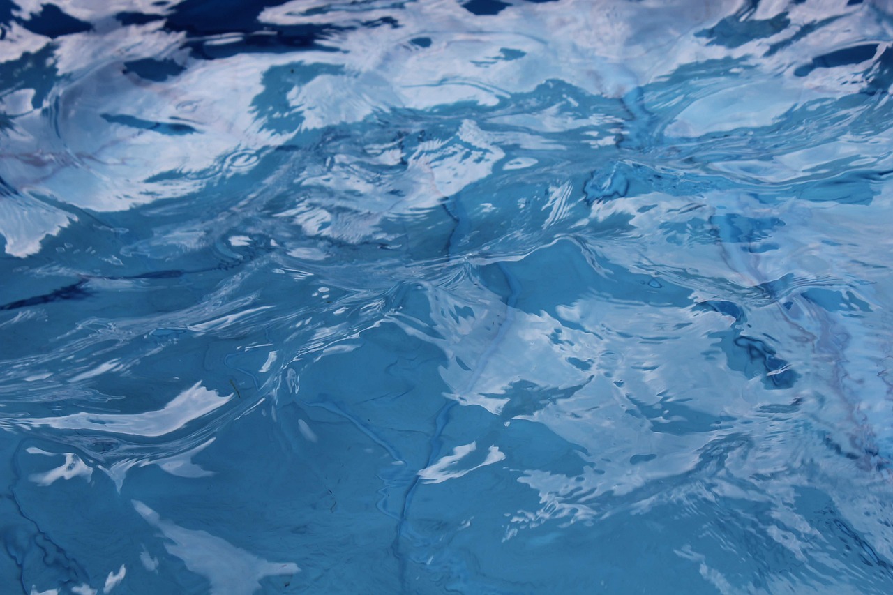 Recreonics - Competitor Swim