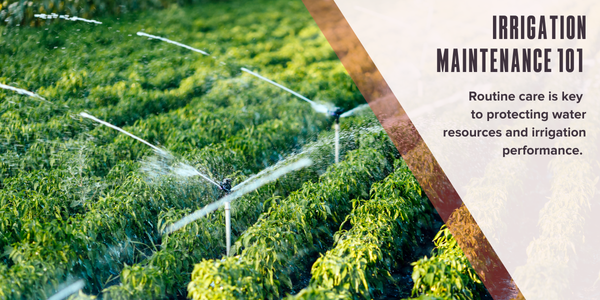 Irrigation maintenance 101