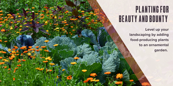 Planting for beauty and bounty