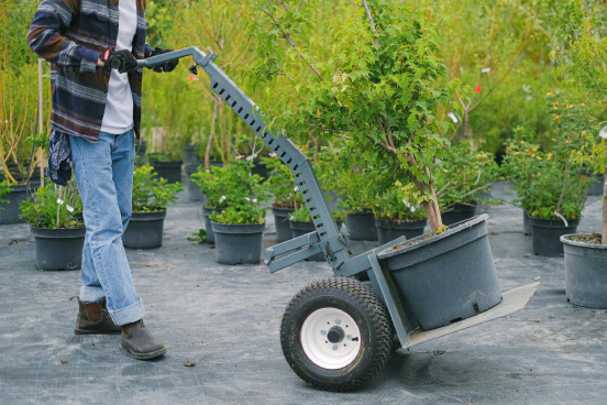Person wheeling a plant
