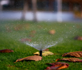A close up shot of a sprinkler spraying water with flowers around it