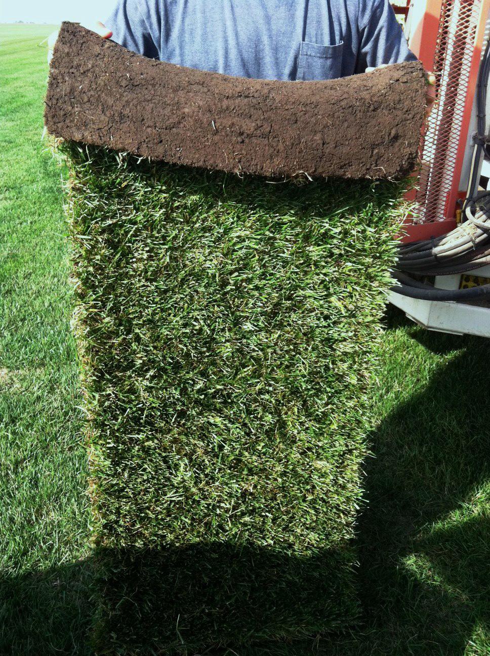 RFT - Sod Roll