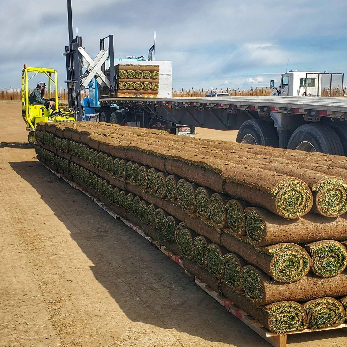 Turf Producers Association - Sod Delivery