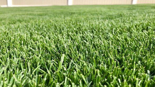 Turf Producers Association - Turf