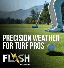 Flash Weather - Turf - 