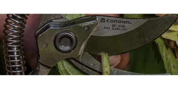 Get your replacement tools from Corona Tools!